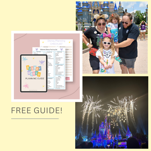 Brianna Ognibene Disney Planning Guide Landing Page
