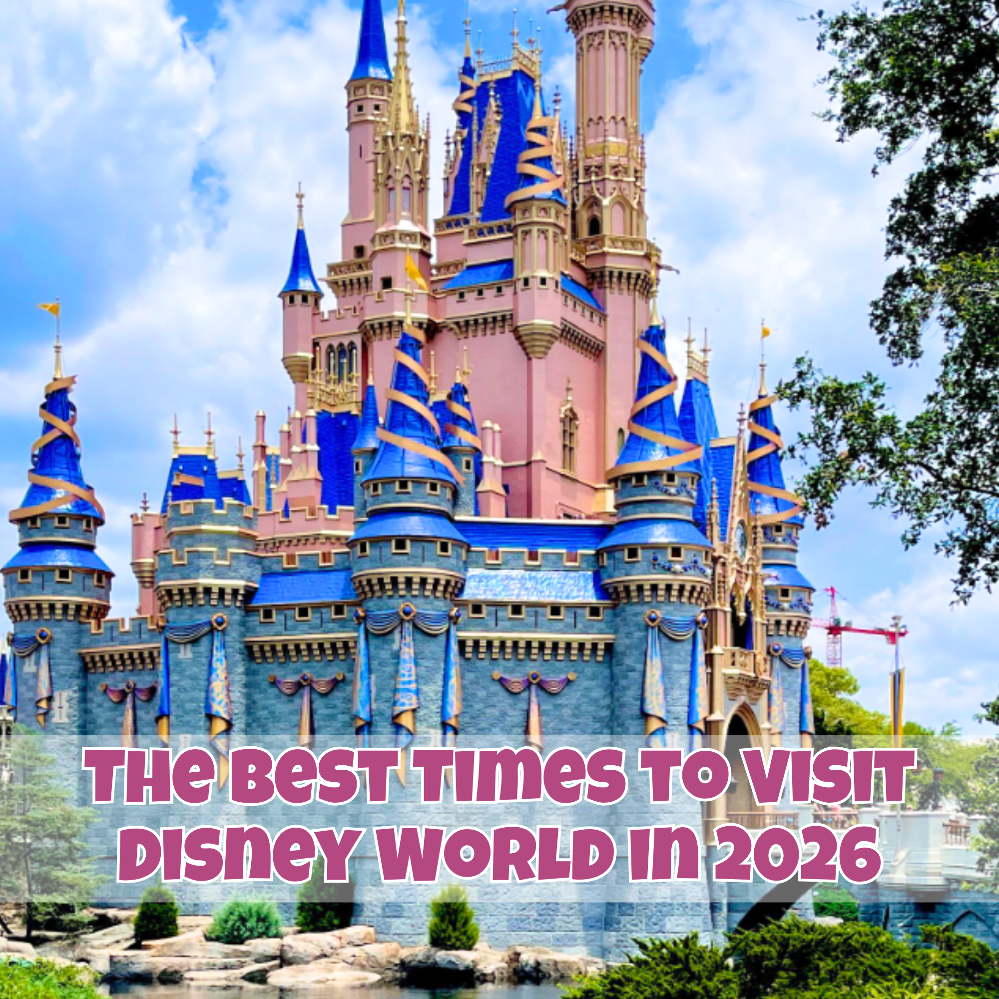 Best Times 2026 Instagram (Facebook Post) (2)