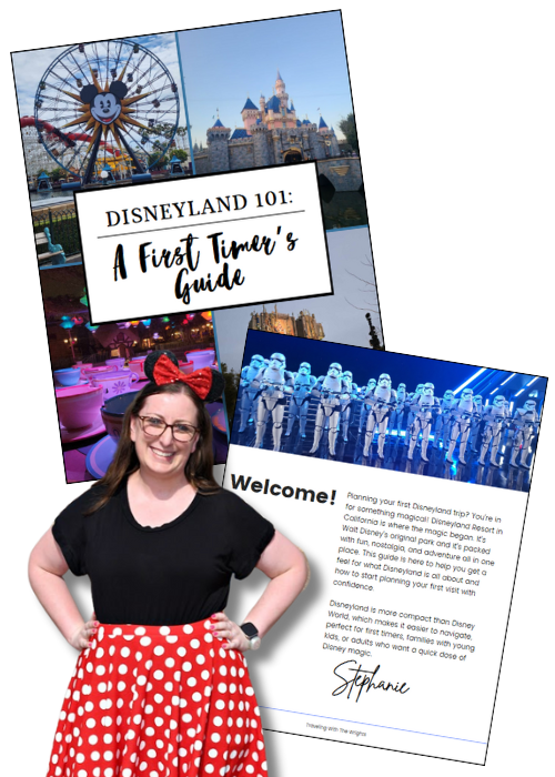 Copy of Disneyland, Party of One  Guide Photo (4)